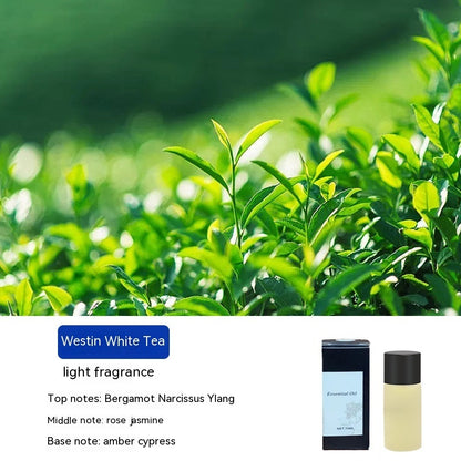 Smart Car Scent Diffuser